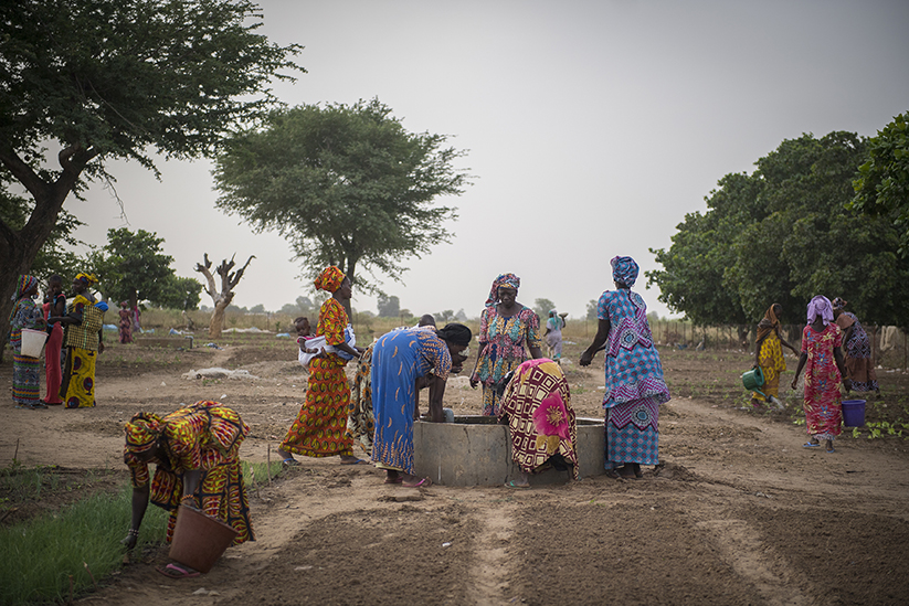 Des femmes paysannes en Afrique