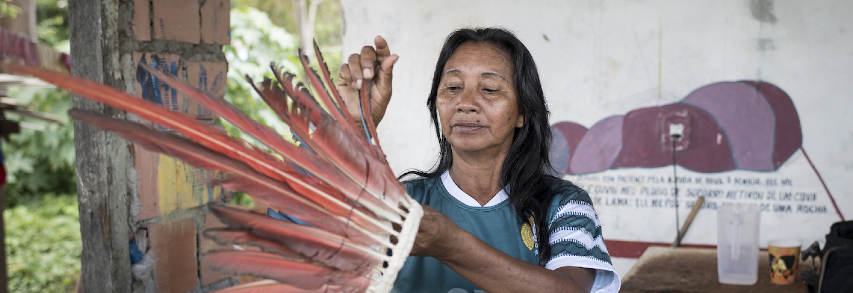 Coronavirus : « En Amazonie, les peuples autochtones risquent d'être décimés »