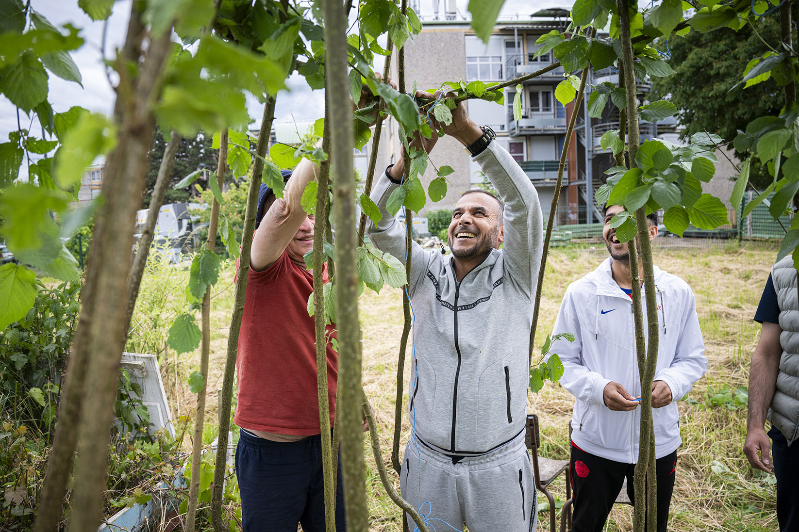 des bénévoles d'un jardin solidaire taillent des plants d'arbres