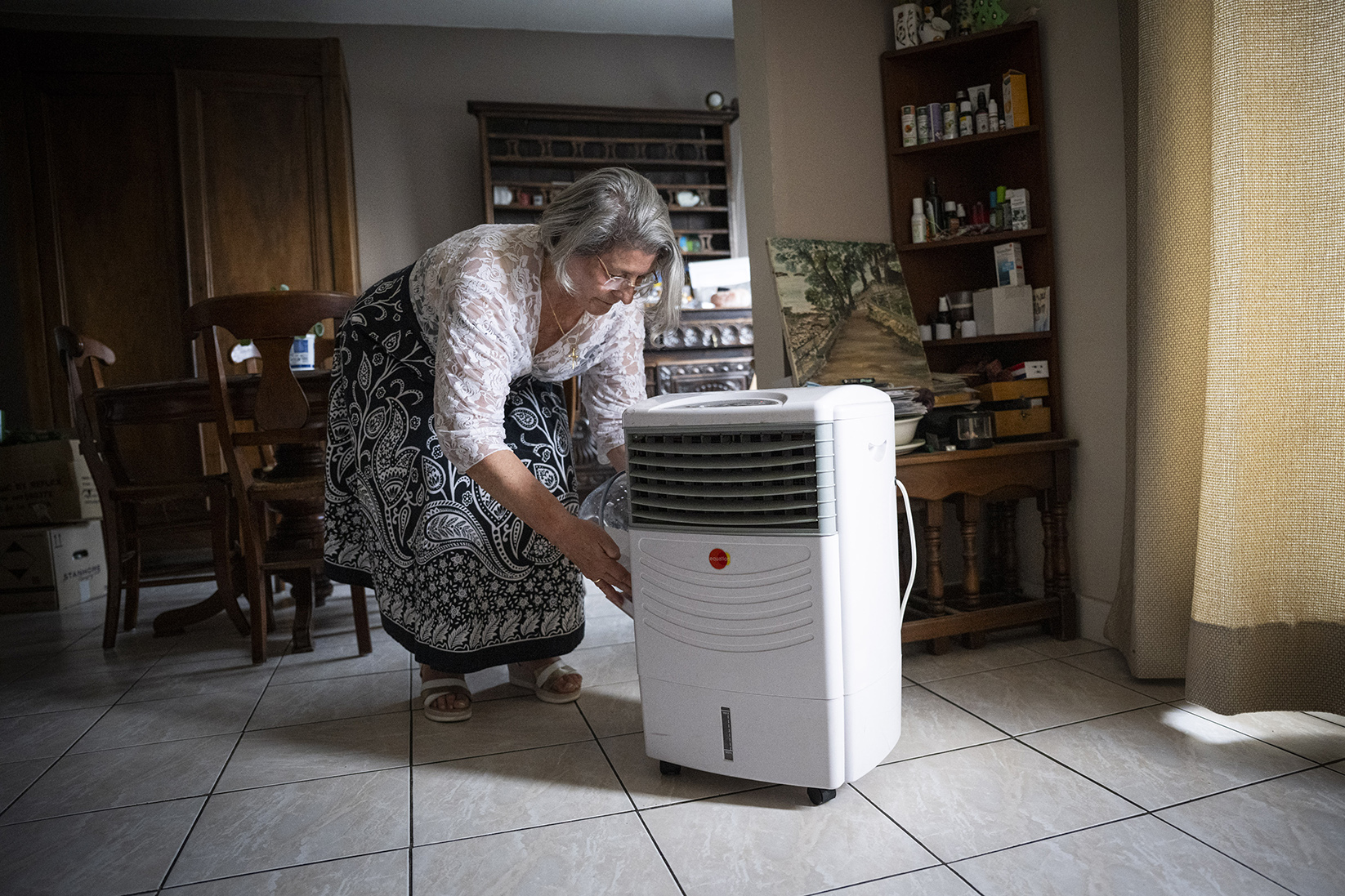 Michelle s’est résolue à investir dans un rafraîchisseur d'air. L’appareil consomme deux saladiers entiers de glaçons.
