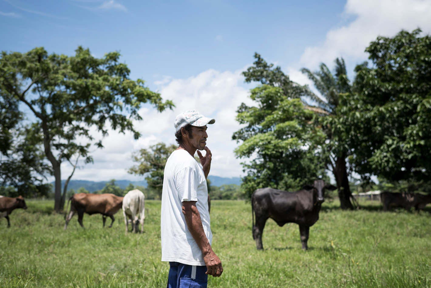 Depuis 2014, 39 familles sur les 112 qui souhaitaient revenir ont obtenu gain de cause auprès de la justice. Le combat est âpre, car les autorités collaborent avec réticence. Les décisions de restitution arrivent au compte-gouttes. Et les moyens censés être attribués aux familles pour leur permettre de vivre convenablement, notamment en développant une activité économique, se font attendre.