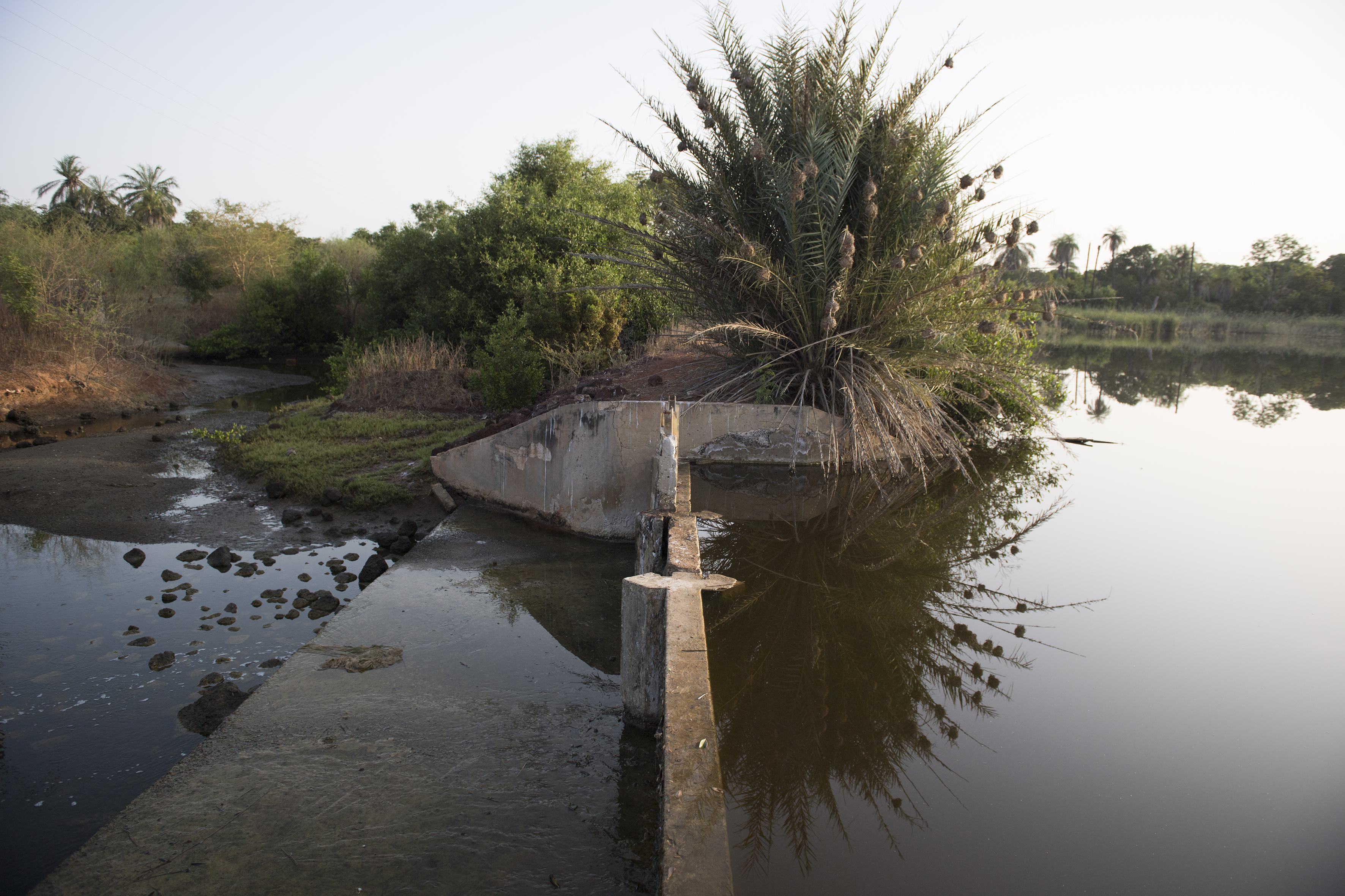 Les barrages anti-sel permettent de rééquilibrer le système en rechargeant les nappes en eau douce.