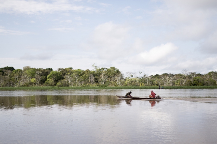 Brésil, État d'Amazonas, juin 2019. Sur un lac à proximité du village d'Urucurituba.