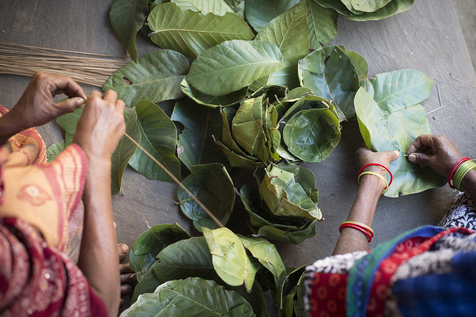 Des femmes de l’état d’Odisha (Inde) fabriquent des petites assiettes avec des feuilles de sal, pour acquérir une petite autonomie financière.