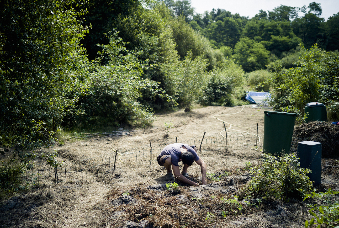 Un agriculteur travaille sur sa parcelle