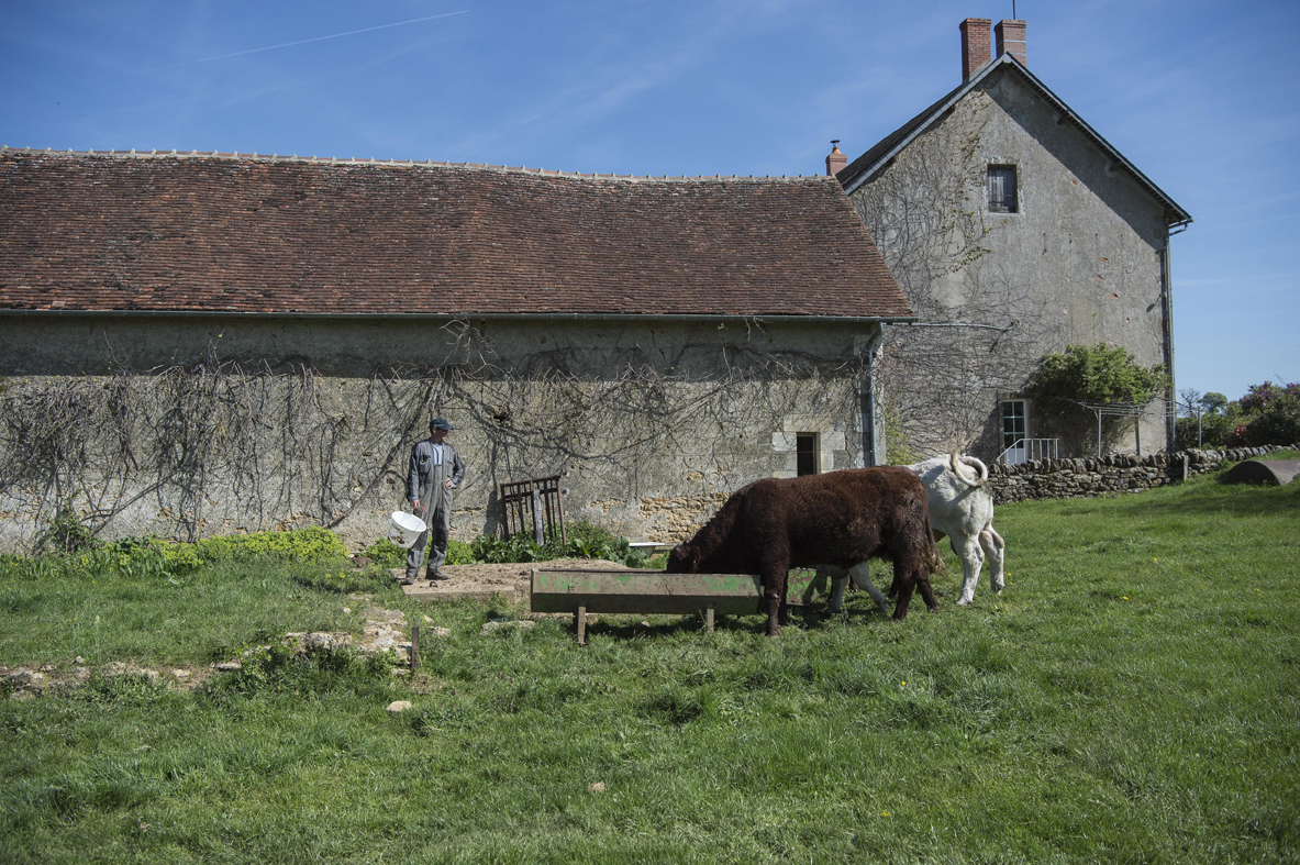 Dans une ferme