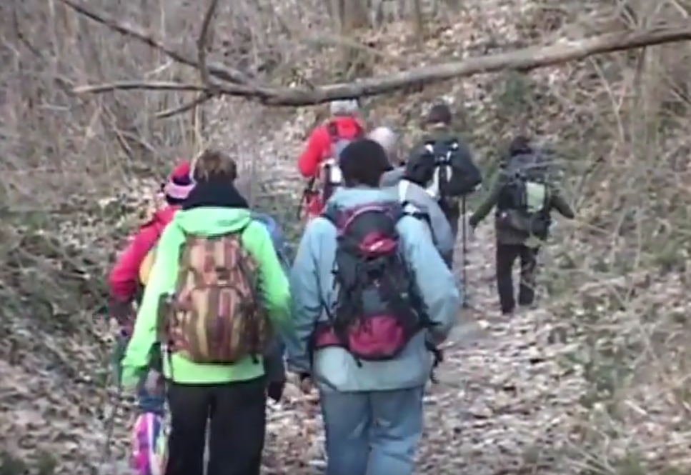 Marcher ensemble vers Compostelle