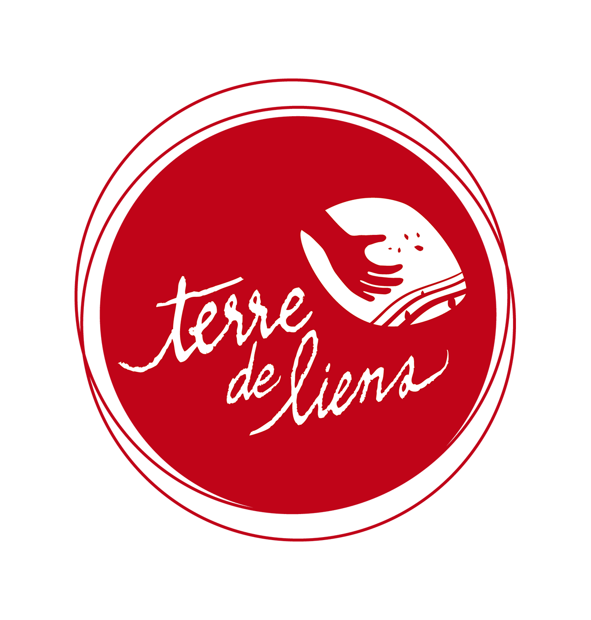 logo tdl