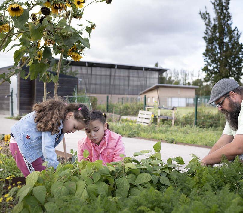 Jardin populaire à Grande-Synthe, lutte contre la précarité alimentaire