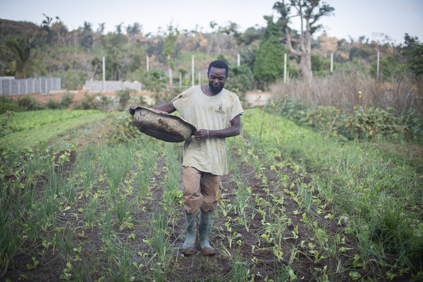 Un maraîcher travaille sur ses cultures