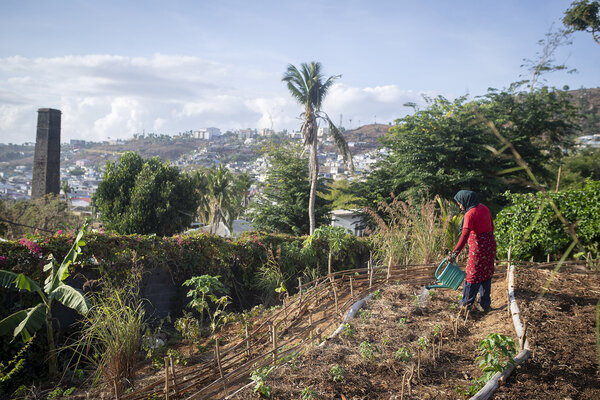 une jeune femme arrosant des cultures