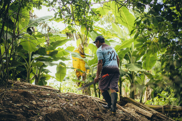 un homme marche dans la forêt amazonienne