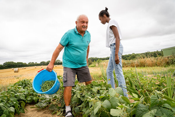 Khady et Jacky cueillent des haricots 
