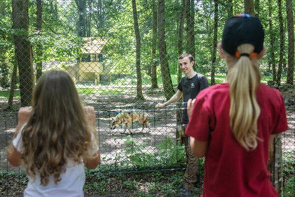 Au zoo de Pescheray, un soigneur montre un loup blanc à des enfants qui visitent le zoo..