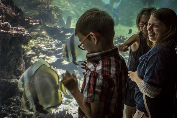 Les enfants en visite à l'aquarium.