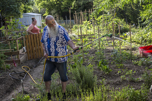 Arrosage du potager par Carole et Pierrot.