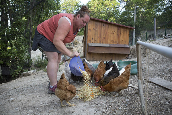 Carole nourrit les poules.