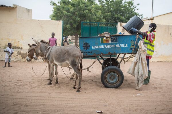 Un charretier et son âne ramassent des poubelles.