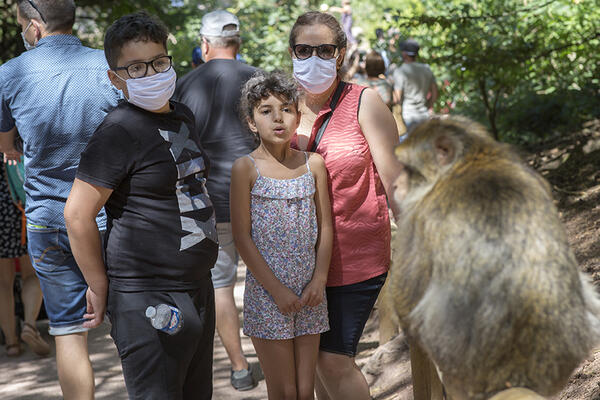 Visite au parc à singes.