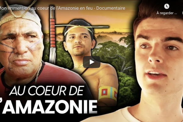 Déforestation, accaparement, droits des autochtones bafoués : l’Amazonie en péril