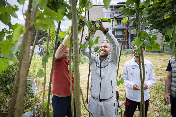 dans le jardin partagé, trois jardiniers s'affairent