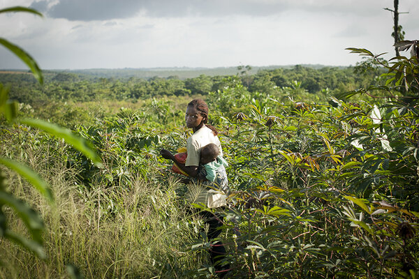 Une femme avec son enfant au dos, dans une plantation, au Congo,