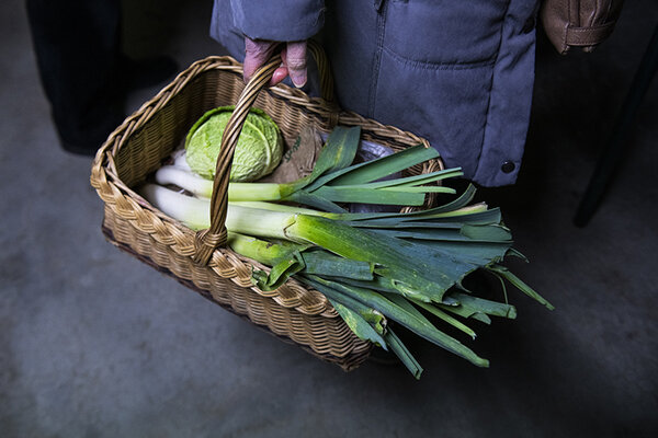 Un panier de légumes 