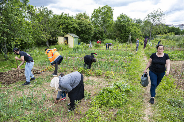 Le jardin partagé de Verdun 