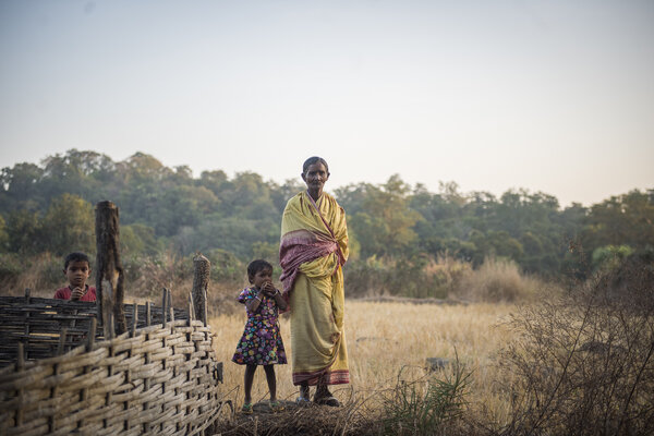 Dans l'Etat indien d'Odisha, les familles paysannes survivent sur de petites surfaces de terre.