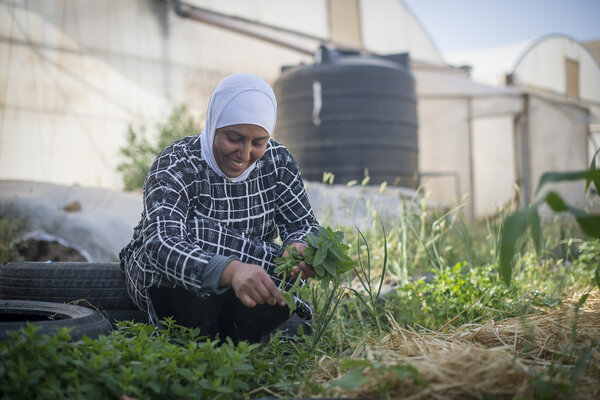 Elles sont soutenues dans ce projet par l'association de commerce équitable Adel qui les conseille et vend leur production à Ramallah.