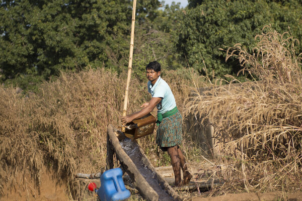 Ces cultures agroécologiques sont bien plus économes en eau.