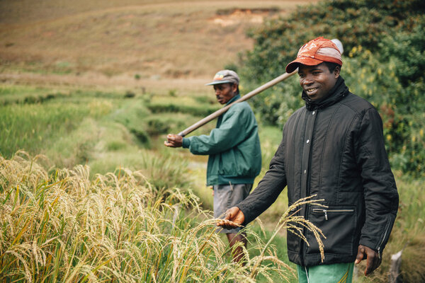 L'association Zoma propose aux paysans privés de terre de venir s'installer ici, dans cette zone reculée mise à disposition par l'Etat malgache.