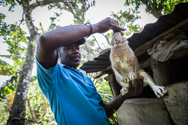 L’élevage de lapins permet aux paysans d’utiliser leurs excréments pour faire du fumier, engrais naturel pour les cultures, puis de vendre les animaux pour diversifier leurs sources de revenus.