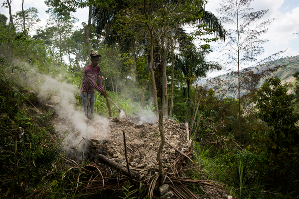 Dans un pays sous-développé où le charbon est la principale source d’énergie, la déforestation est monnaie courante. 70 % du bois coupé sert à la fabrication du charbon. Résultat : Haïti comporte moins de 2 % de couverture forestière.