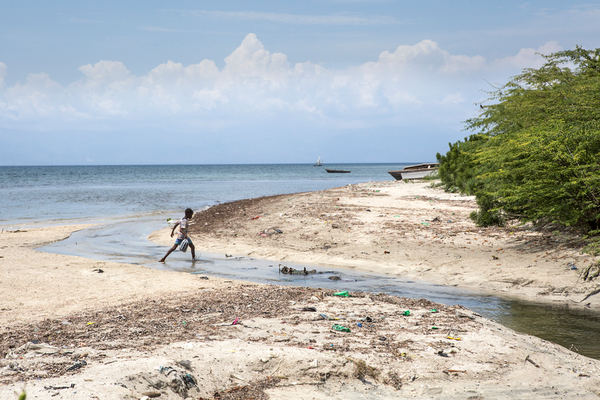 Les mangroves disparues ne sont plus un obstacle à la mer qui monte, en raison des changements climatiques. Des villages côtiers sont ainsi inondés et le sel envahit les nappes phréatiques et abîme les cultures maraîchères.