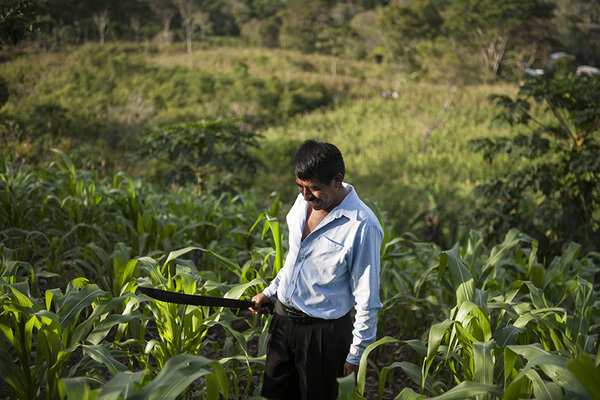 paysans du Chiapas