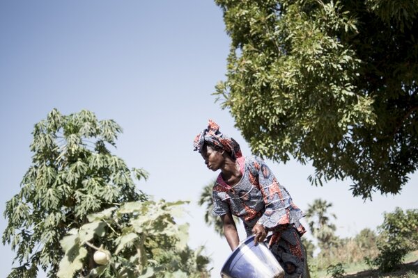 Au Mali, des agriculteurs face à la sécheresse