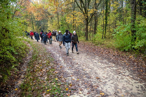 Marcheurs dans la forêt