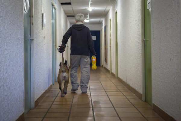 Pour José, vivre sans sa chienne, Tia, est impensable. "Quand tu as un chien, l'amitié qu'il te porte n'a pas de prix", dit-il.