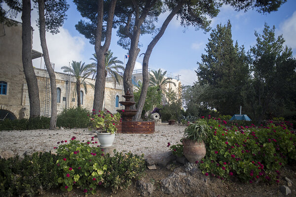 Jardin
