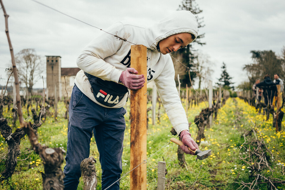 Jeune précaire, saisonnier dans la vigne