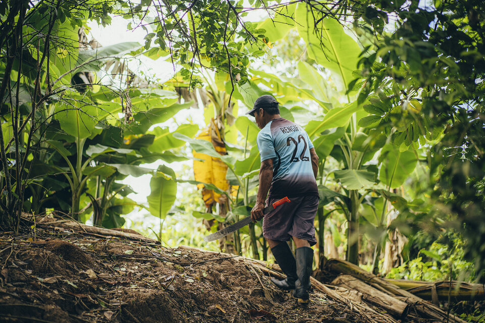 un homme marche dans la forêt amazonienne