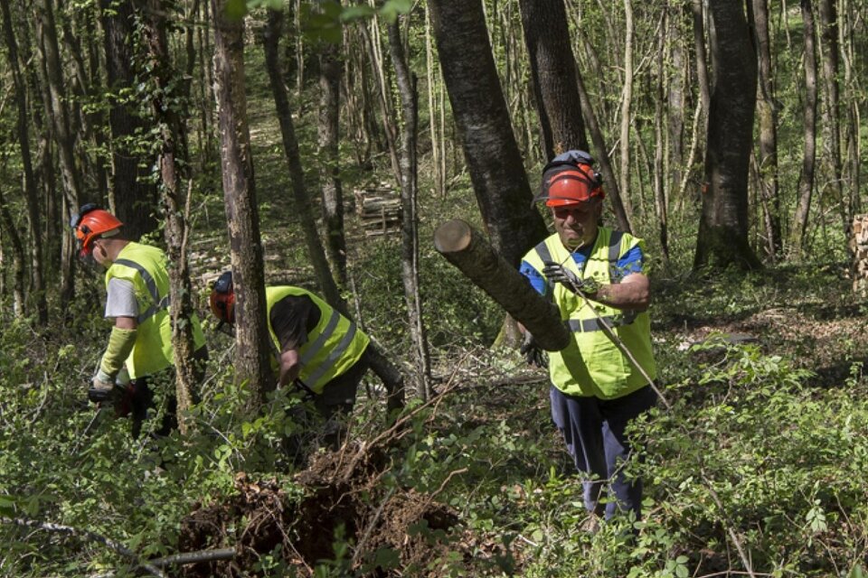 Territoires zéro chômeur :  « Je peux me projeter à nouveau »