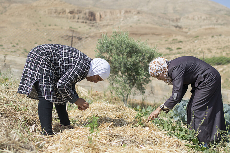 Israël / Palestine : faire vivre l'espoir