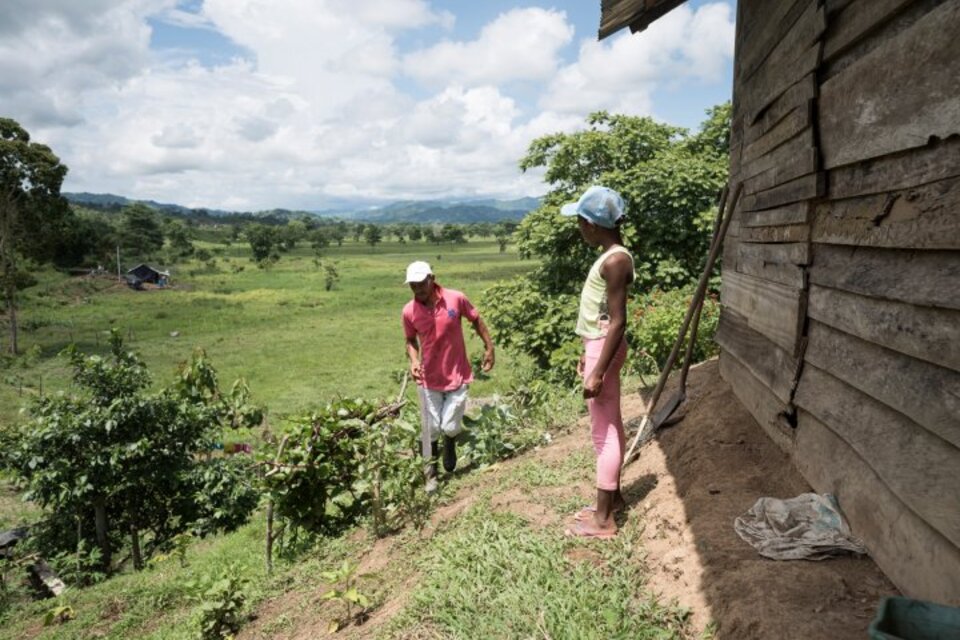 À Paquemas, le retour à la terre des paysans colombiens