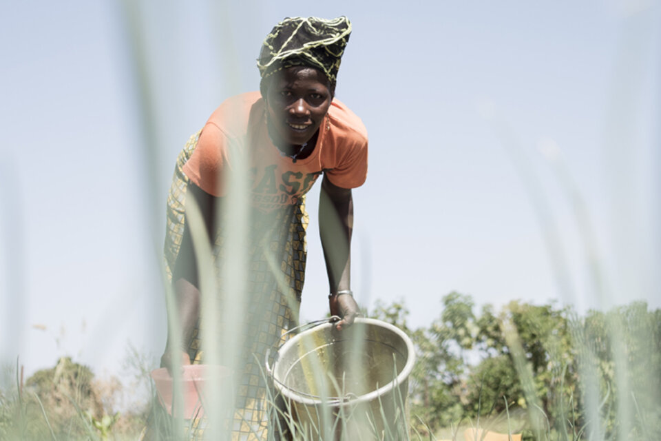 L’agroécologie est-elle l’avenir de l’homme ?