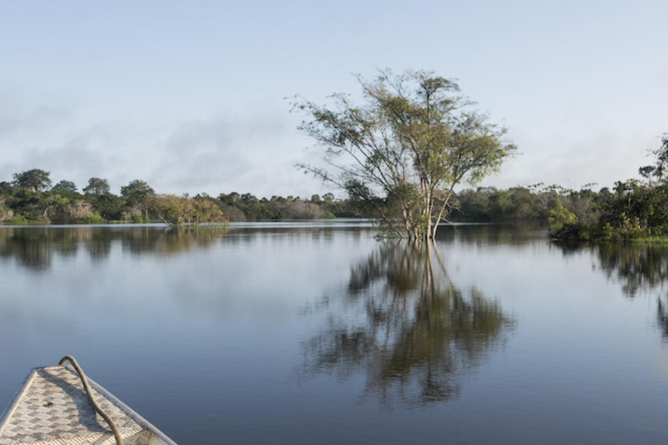 Amazonie : renouer avec la culture pour défendre la terre