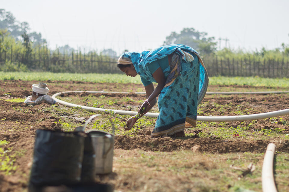Femmes agricultrices, des savoirs à faire fructifier