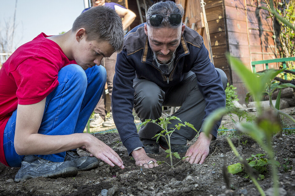 dans un jardin solidaire un homme et un adolescent plantent des plants d'arbres 
