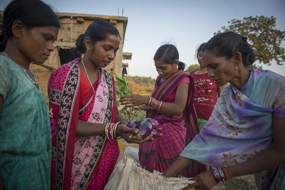 Femmes commerçantes en Inde